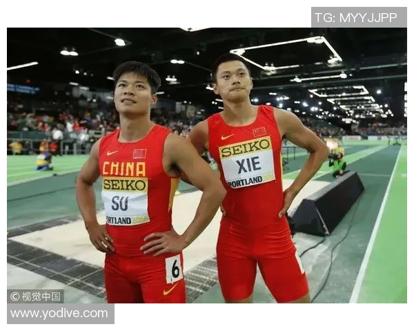 北京排球队在钻石联赛中以52分稳居积分榜首位展现强劲实力 北京排球队在钻石联赛中以52分稳居积分榜首位展现强劲实力