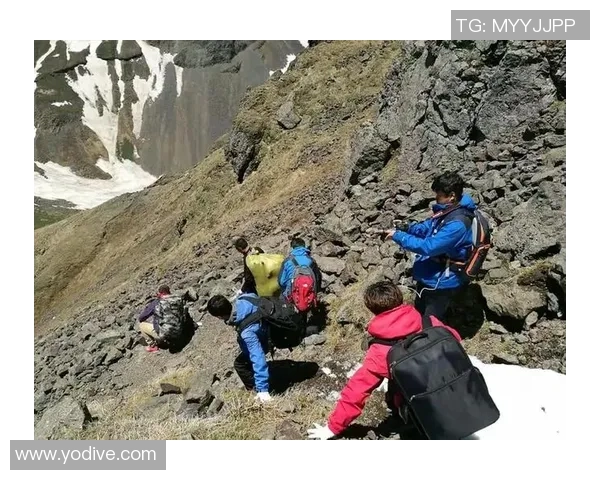 南京攀岩队的默契配合与挑战精神探秘之旅