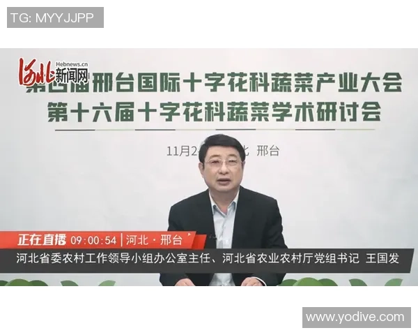 极限运动的成功秘诀杨强分享他的独特见解与经验