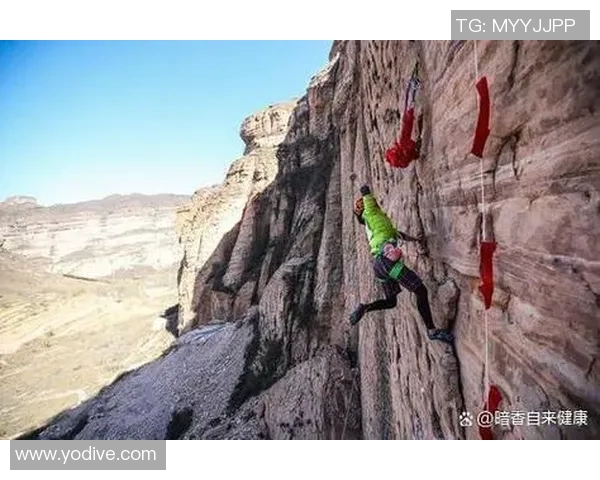 重庆攀岩队灵活性研究：探索攀岩运动中的适应与创新策略