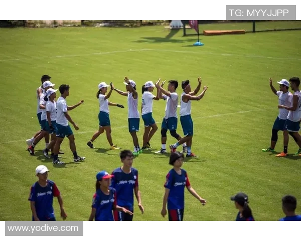 飞盘运动的魅力与挑战：走进重庆飞盘队的灵活性与团队精神